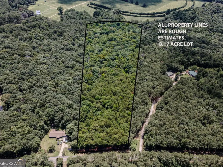 0 Browning Shoals Road, Social Circle, GA 30025 - #2