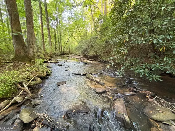 442 Mt Springer Road, Ellijay, GA 30540