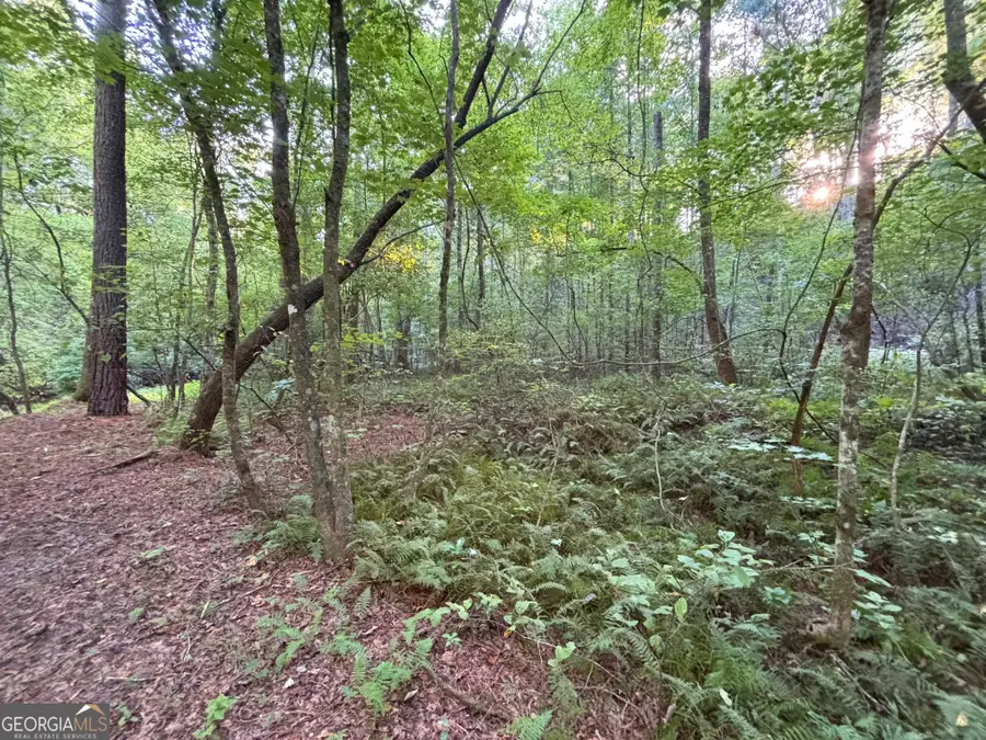 442 Mt Springer Road, Ellijay, GA 30540 - #2