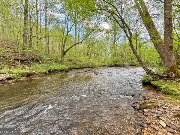 LT 5 Spiva Cove Road, Blairsville, GA 30512