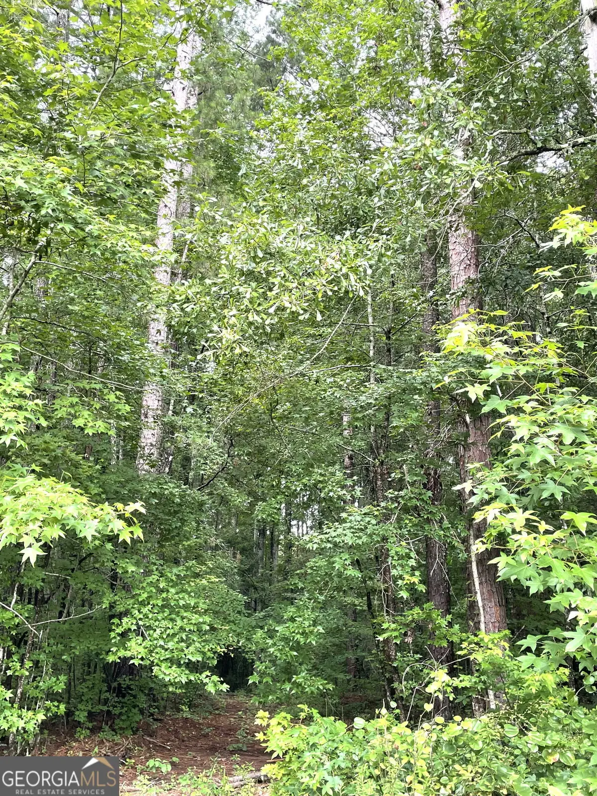 0 Sims Street, Barnesville, GA 30204 - #1