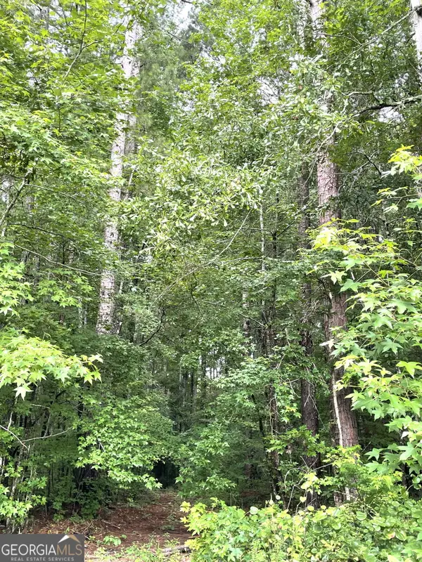 0 Sims Street, Barnesville, GA 30204