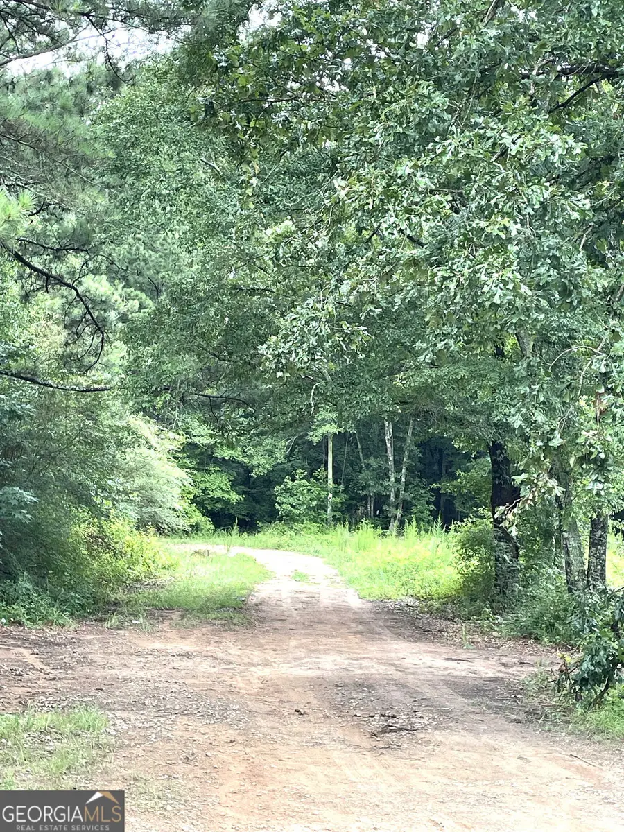 0 Sims Street, Barnesville, GA 30204 - #2