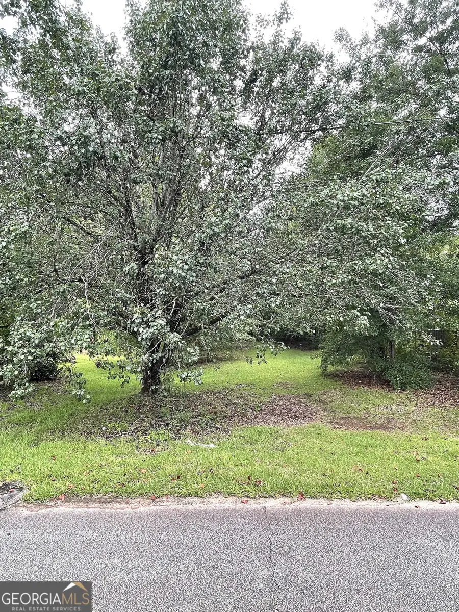 0 Sims Street, Barnesville, GA 30204 - #3