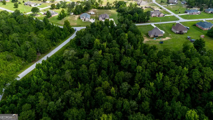 6511 Yellowstone Way, Lizella, GA 31052 - #3