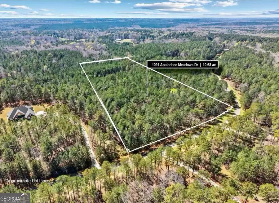 24 Apalachee Meadows Drive #24, Madison, GA 30650 - #3