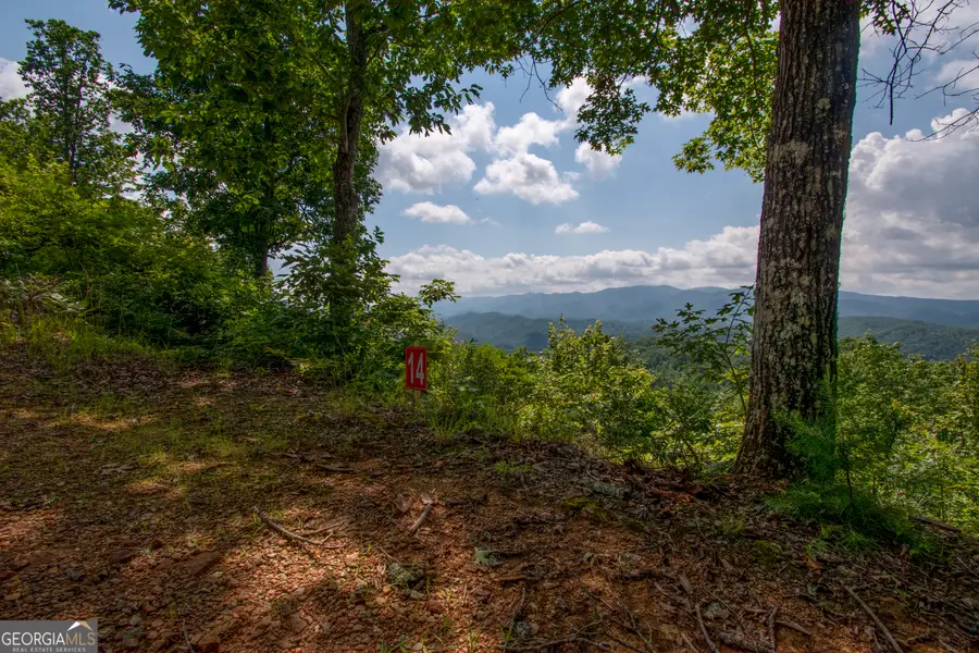 850 Bluff Road, Marble, NC 28905 - #2