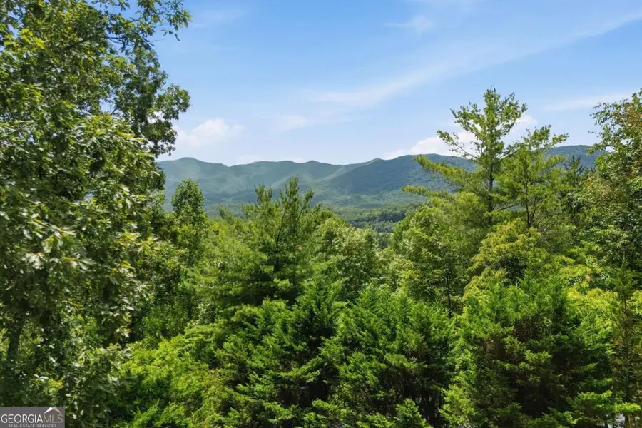 93 Jamie Lane, Blairsville, GA 30512 - #2