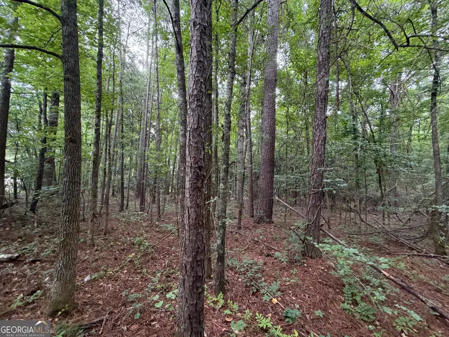 0 Cousins Road, Greenville, GA 30222 - #3