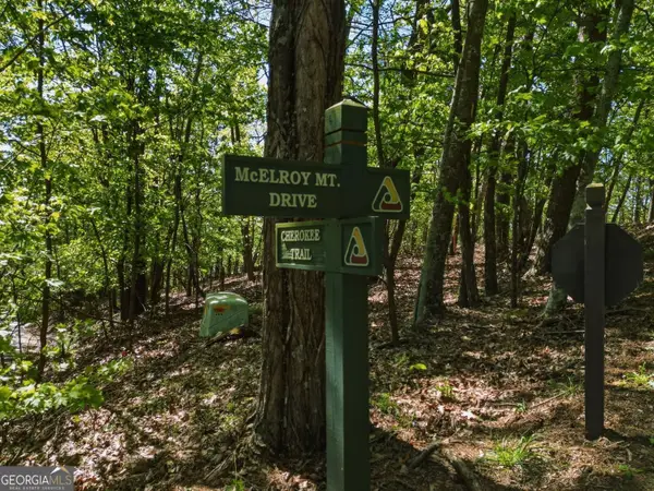 1095 Mcelroy Mountain Drive, Big Canoe, GA 30143