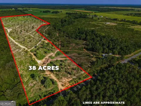 38 ACRES N Ga Highway 240 N Connector, Mauk, GA 31058 - #1
