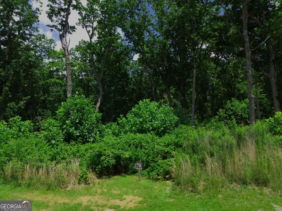 LOT 70 High Summit Drive, Talking Rock, GA 30175 - #2