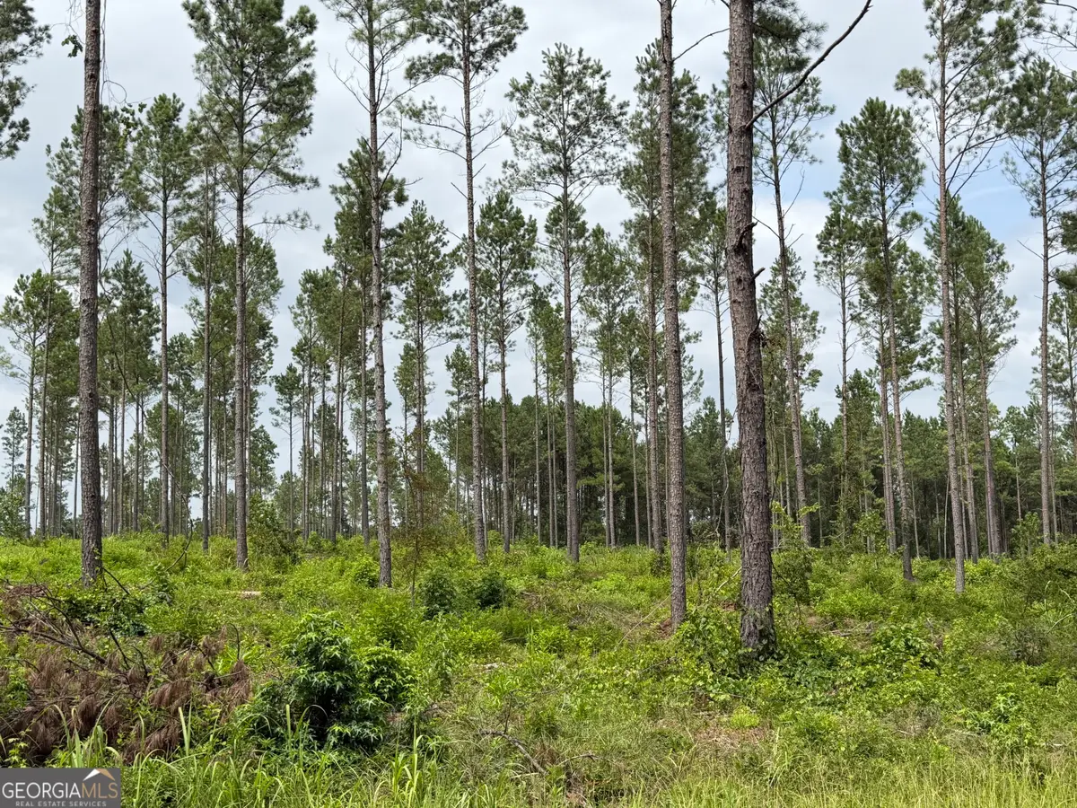 005 Old Monticello Road, Milledgeville, GA 31061 - #1