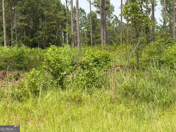 007 Old Monticello Road, Milledgeville, GA 31061