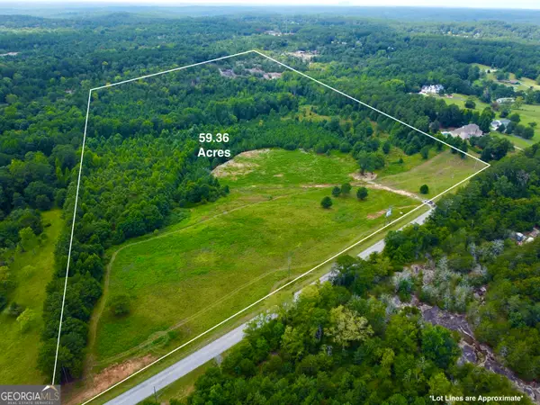 2040 Costly Mill Road Ne, Conyers, GA 30013