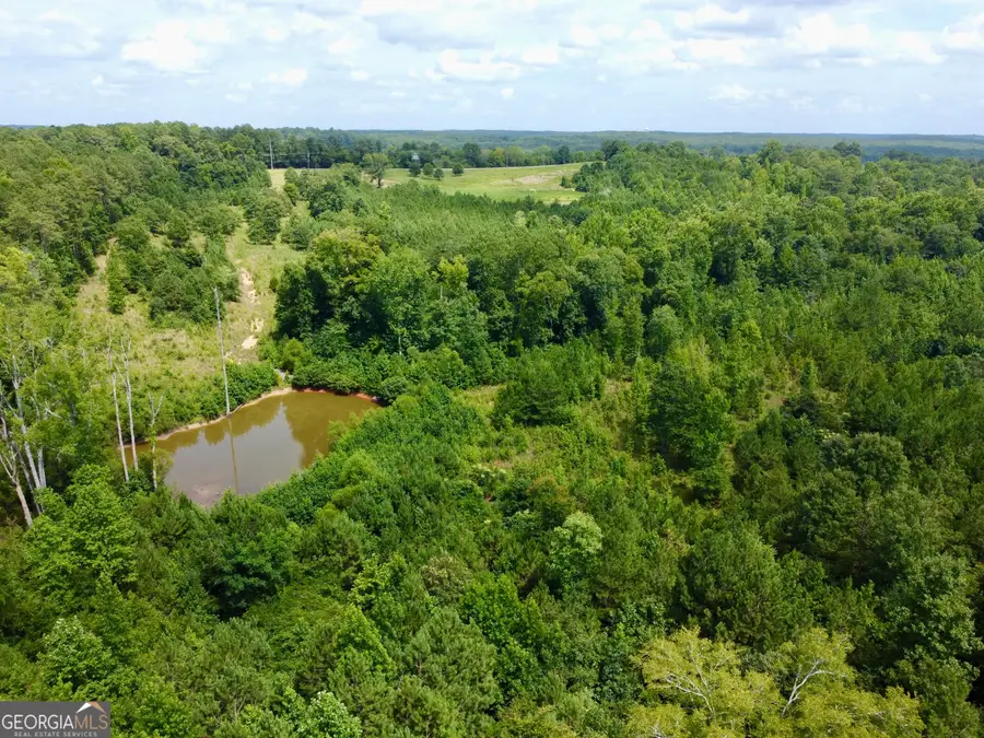 2040 Costly Mill Road Ne, Conyers, GA 30013 - #3