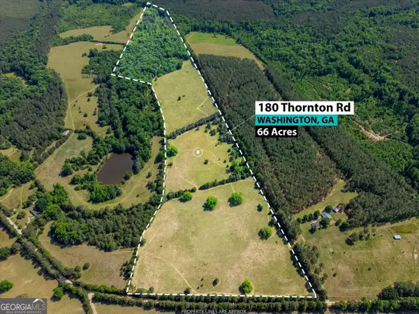 0 Thornton Road, Washington, GA 30673