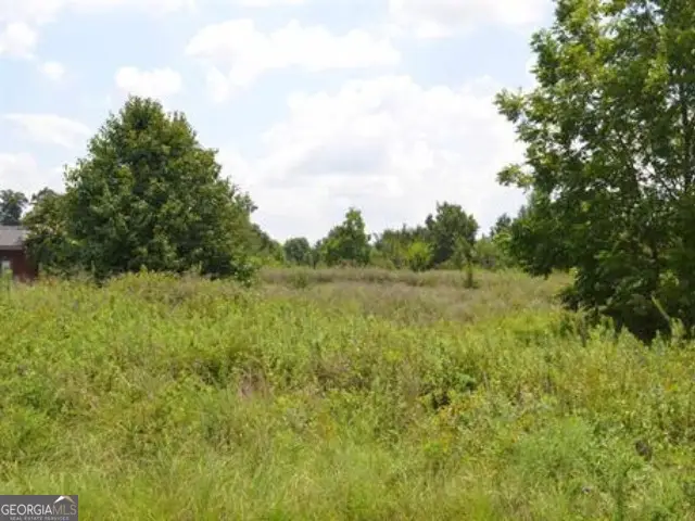 0 Gunn Road, Byron, GA 31008 - #1
