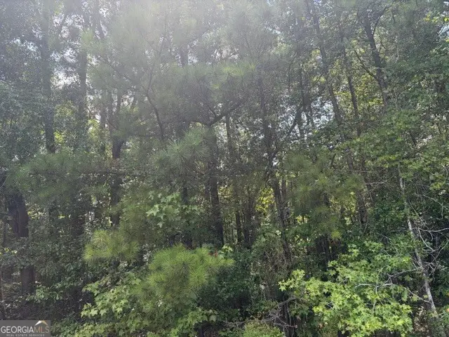3063 Hamlin Road, Lizella, GA 31052 - #1