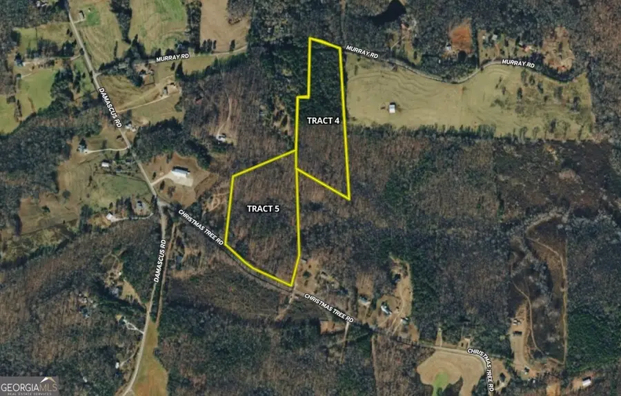 0 Christmas Tree Road, Homer, GA 30547 - #2