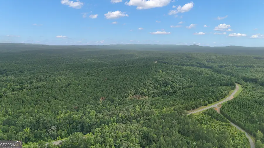 0 Woodland Road, Thomaston, GA 30286 - #3