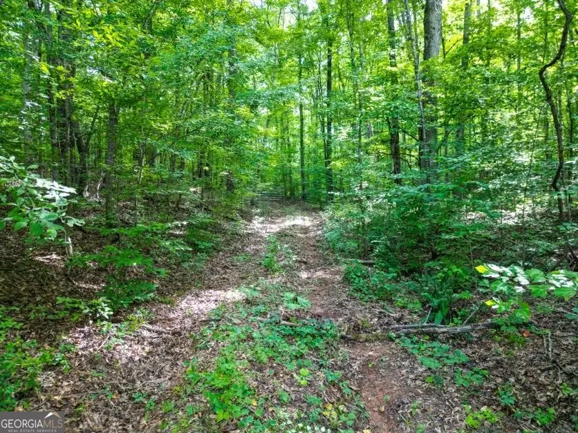 0 Highway 431, Roanoke, AL 36274 - #3