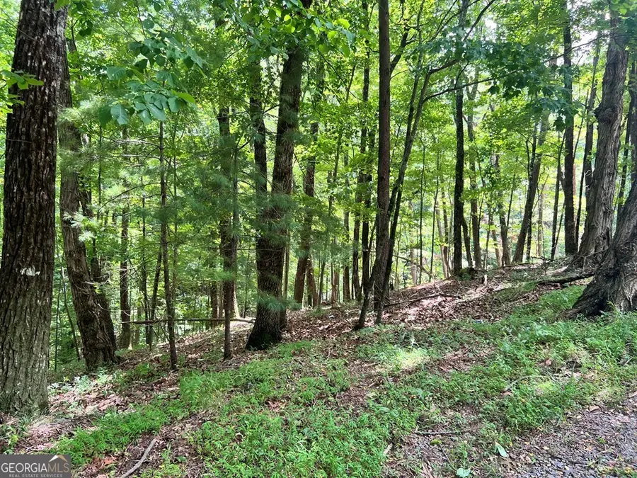LT G667-G68 Mountain Oak Road, Ellijay, GA 30536 - #2