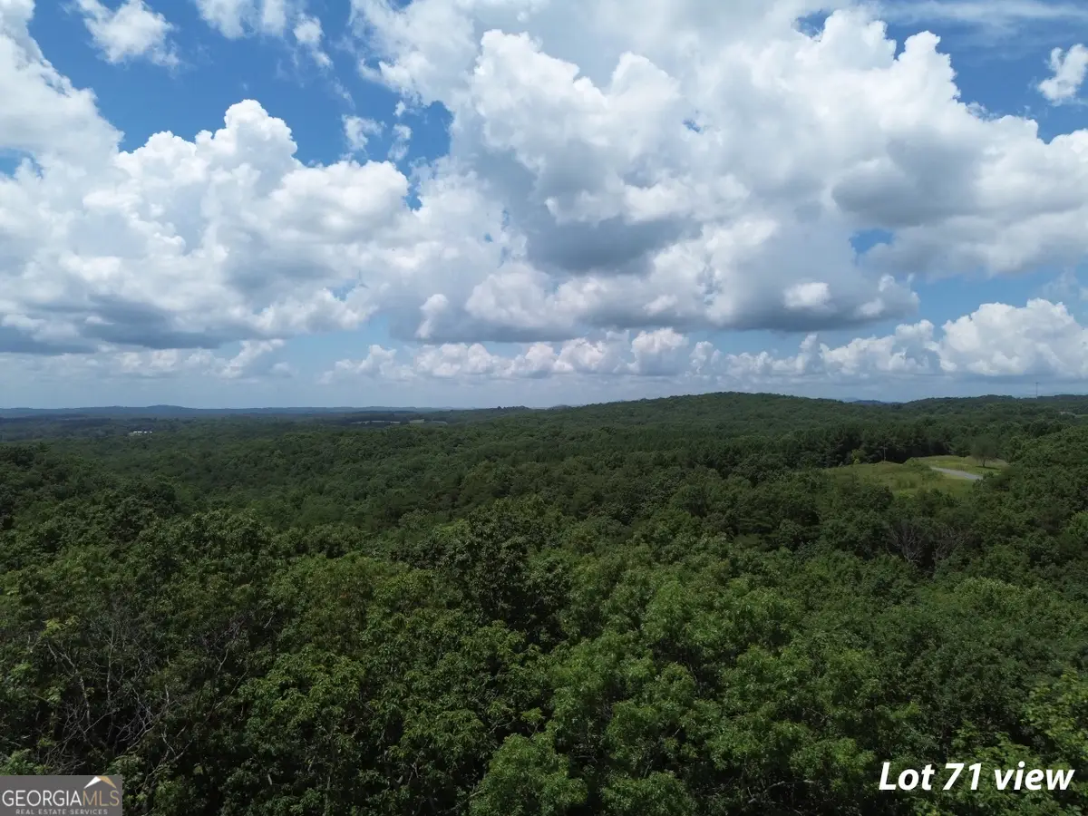 LT 71 High Summit, Talking Rock, GA 30175 - #1