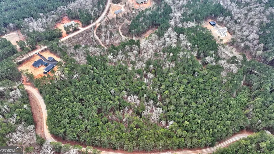 LOT 5 Cochran Road, Madison, GA 30650 - #2