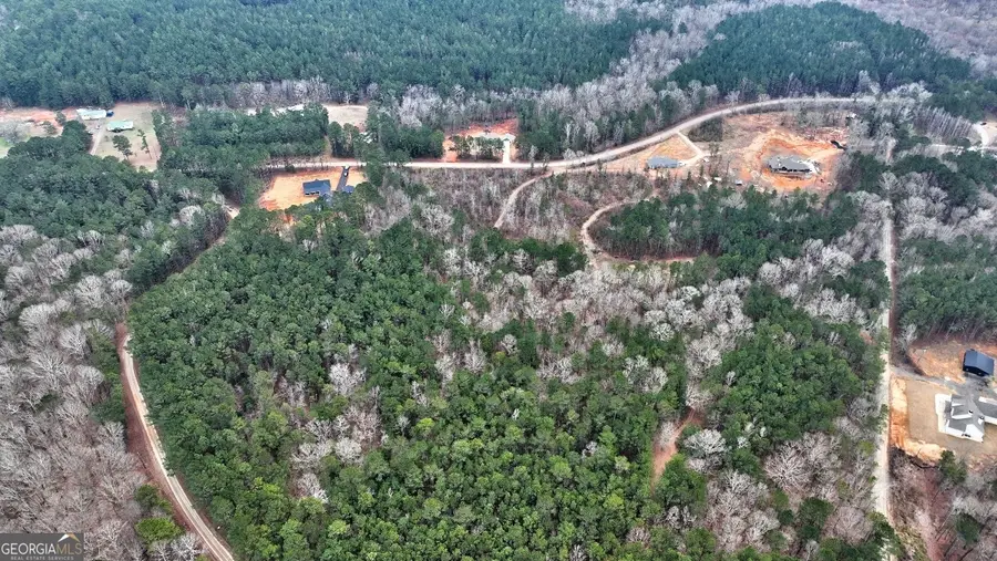 LOT 5 Cochran Road, Madison, GA 30650 - #3