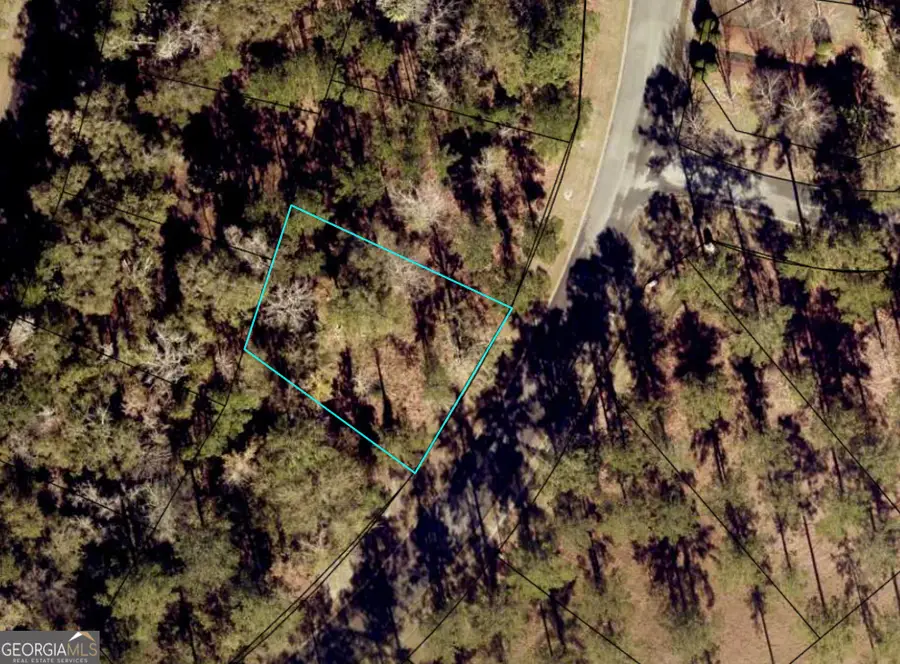 0 Sanctuary Wynd, Waverly, GA 31565 - #2