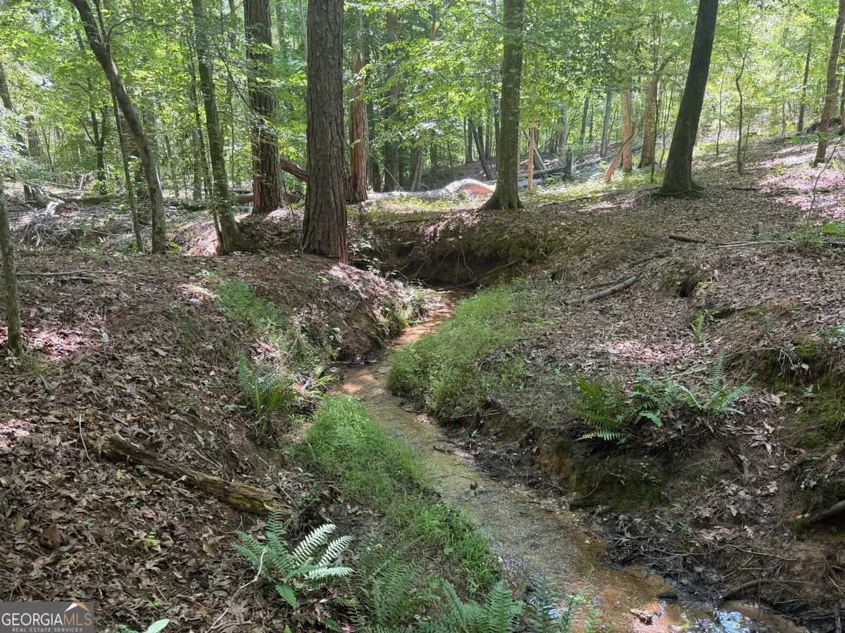 0 Ruckersville Road, Elberton, GA 30635 - #1