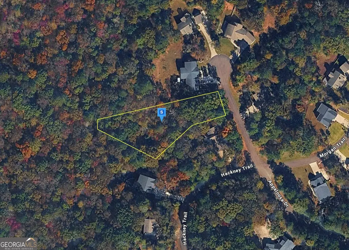 450 Appaloosa Drive, Ellijay, GA 30536 - #1