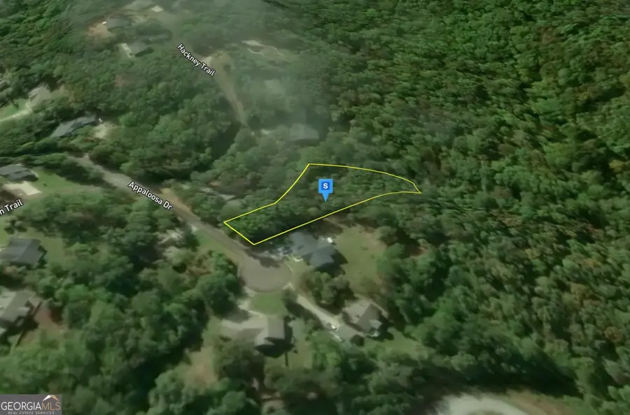 450 Appaloosa Drive, Ellijay, GA 30536 - #3
