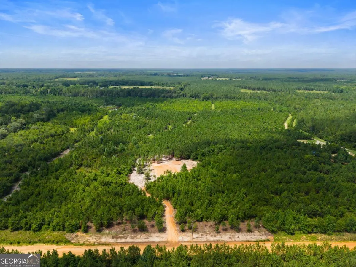 381 Findley Cemetery Road, Lyons, GA 30436 - #1