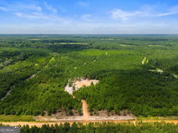 381 Findley Cemetery Road, Lyons, GA 30436
