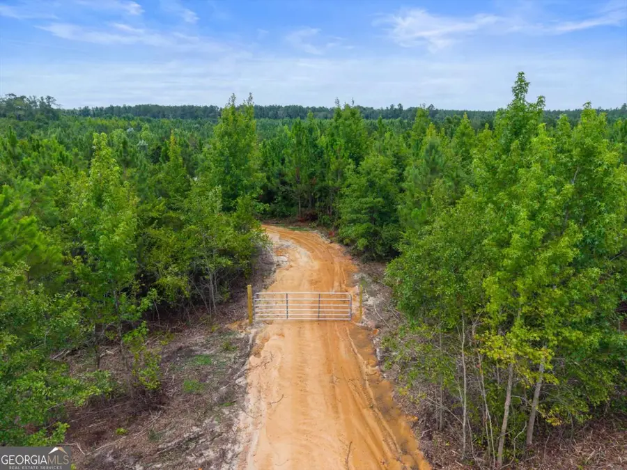381 Findley Cemetery Road, Lyons, GA 30436 - #2