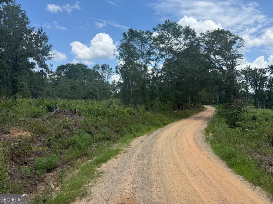 HELTON CORNER L Highway 80, Danville, GA 31017 - #2