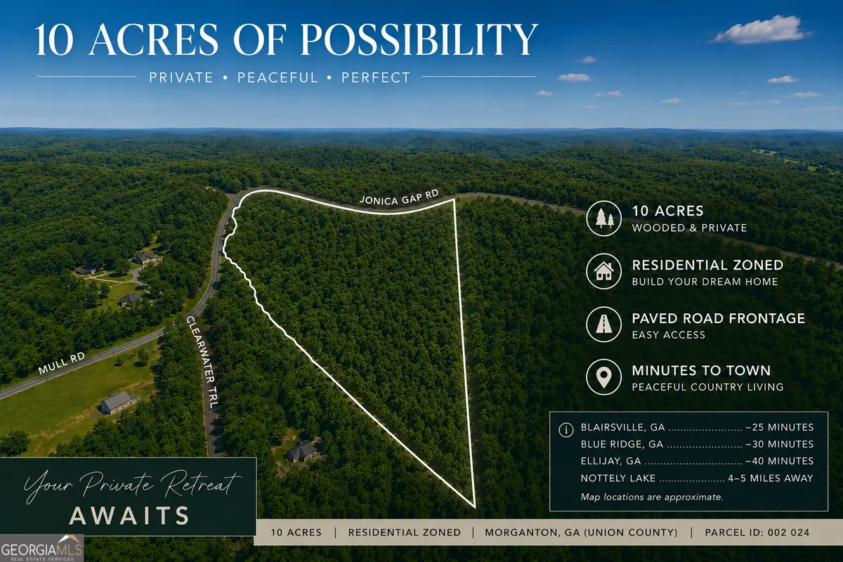 0A Jonica Gap Road, Morganton, GA 30560 - #1