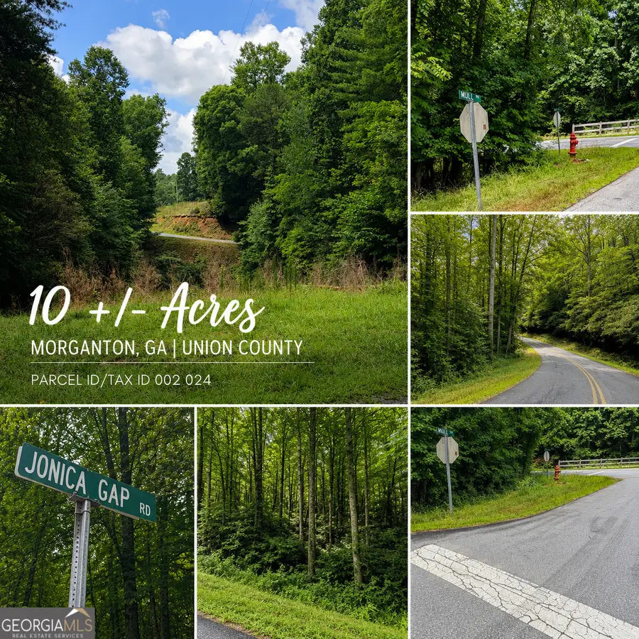0A Jonica Gap Road, Morganton, GA 30560 - #3