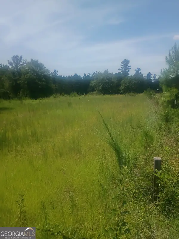 608 Scottland Towns Road, McRae, GA 31055