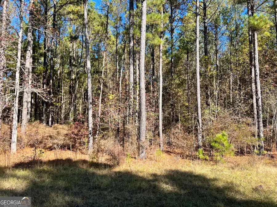 LOT #39 Mariners Way, Lincolnton, GA 30817 - #2