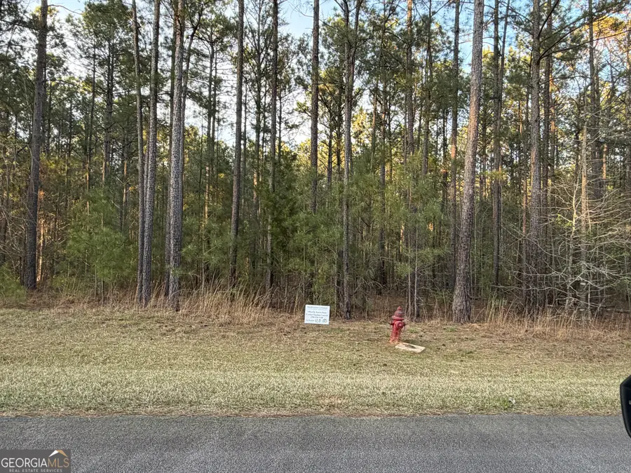 LOT #39 Mariners Way, Lincolnton, GA 30817 - #3