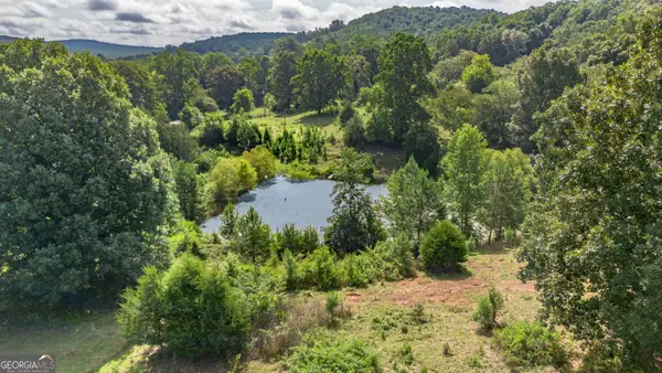 5967 County Road 19, Heflin, AL 36264