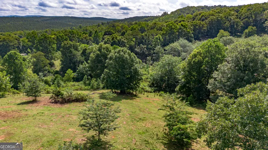 5967 County Road 19, Heflin, AL 36264 - #3