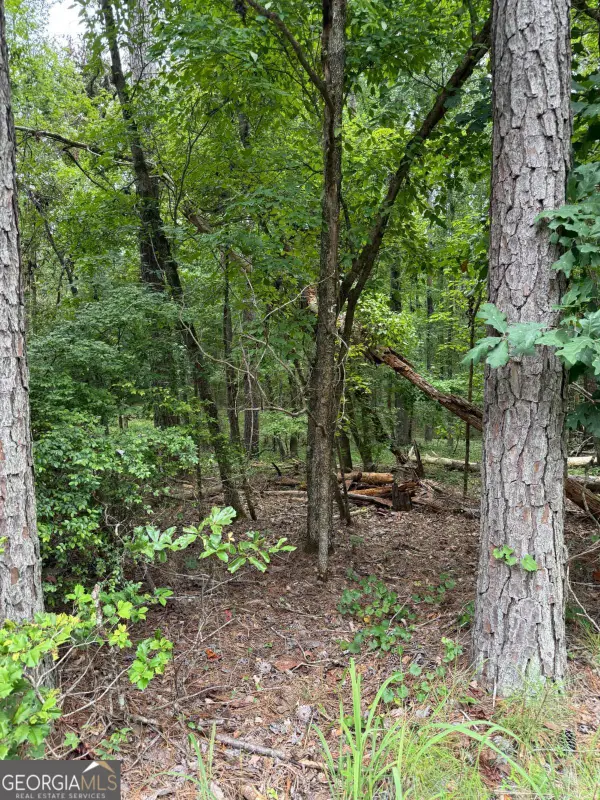 LOT 79 Island Creek Drive, Sparta, GA 31087