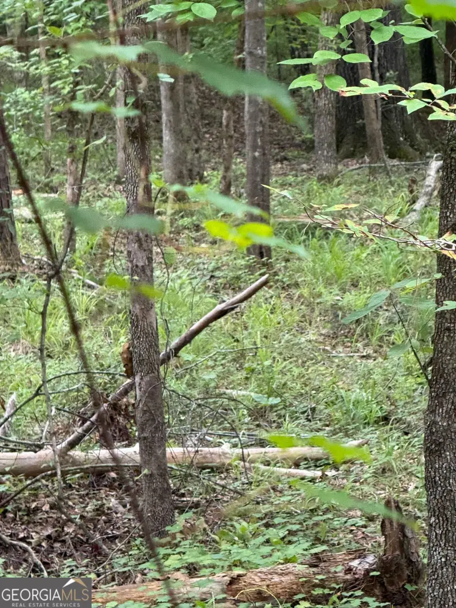 LOT 79 Island Creek Drive, Sparta, GA 31087 - #2