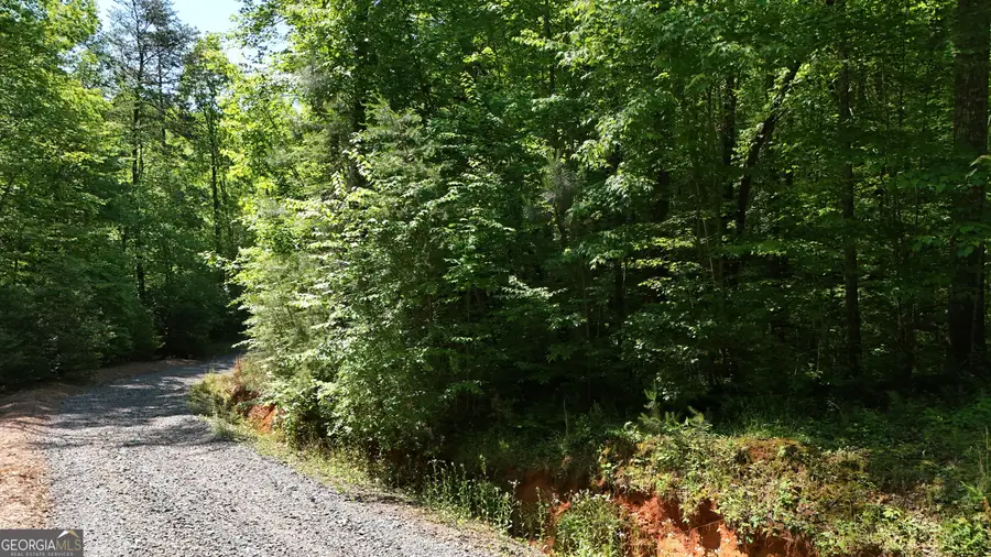 0 Gold Springs Road, Cherry Log, GA 30522 - #3