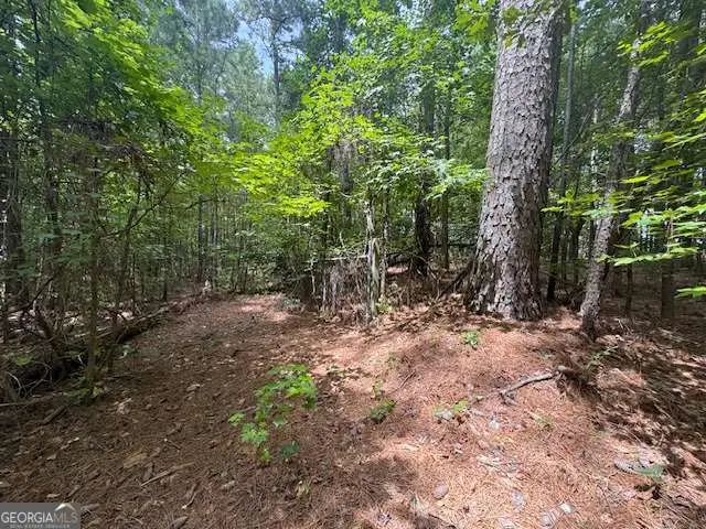 0 Highway 72 West, Hull, GA 30646 - #3