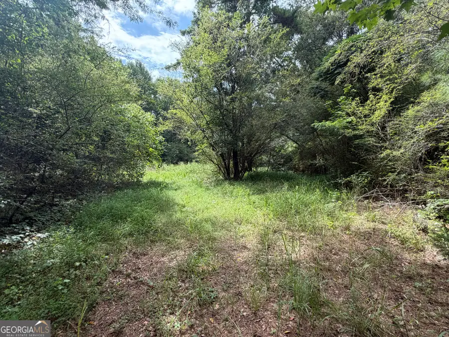 0 County Road 82, Newell, AL 36280 - #2